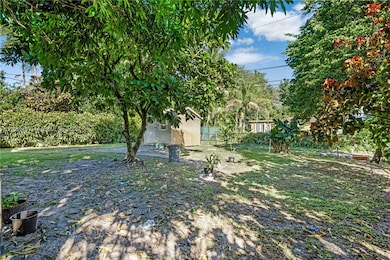 Spacious fenced-in back yard with fruit trees.