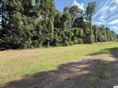 00 Louisiana 3074 unit Tract 3, Ruston, LA 71270 - photo 3