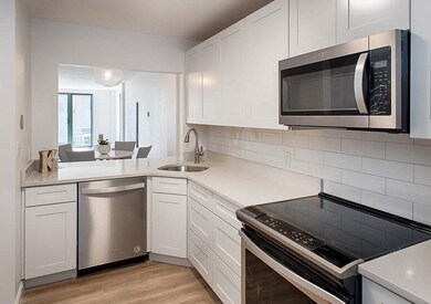 The Vicomte unit 215, Allston, MA 02134 - photo 6