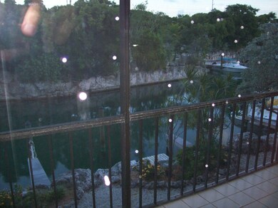 view south from upstairs terrace