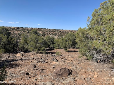 9F8090BB-AC18-44C9-8720-9F1A7194210C