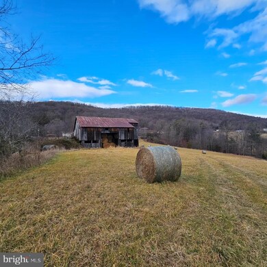 0 Red Berry Rd, Mathias, WV 26812 - photo 4