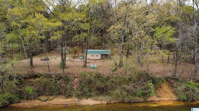 551 Liberty Shores Blvd, Vincent, AL 35178 - photo 2