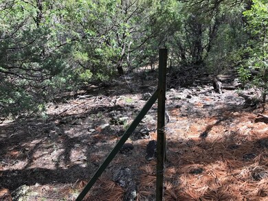 Partly Fenced