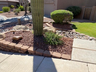 Front Yard Landscaping