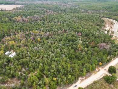 0000 Highview Cir, Chipley, FL 32428 - photo 4