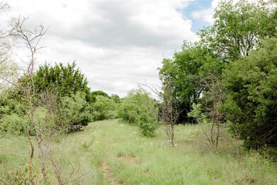 TBD 6 Ox Mill Creek Rd, Weatherford, TX 76087 - photo 4