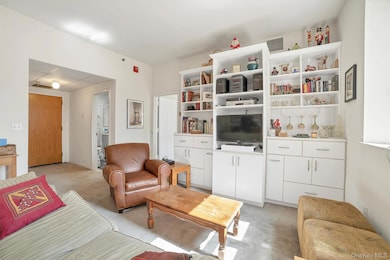 The Hill Condominiums unit A1-5, White Plains, NY 10606 - photo 7