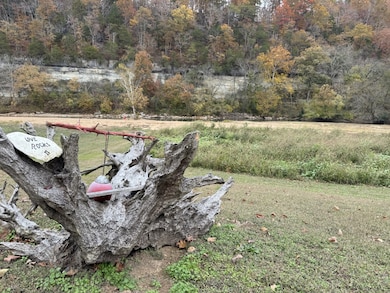 145 Big Buffalo Estates Cir, Linden, TN 37096 - photo 2