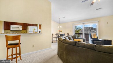 6608 Rapid Water Way unit 303, Glen Burnie, MD 21060 - photo 6