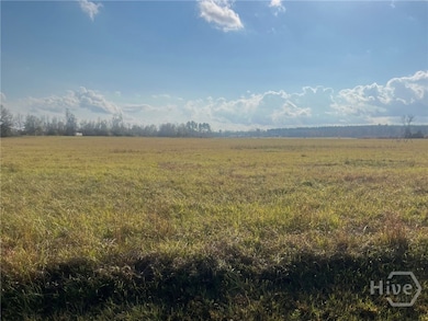 0 W Old Savannah Rd unit SA344167, Millen, GA 30442 - photo 3