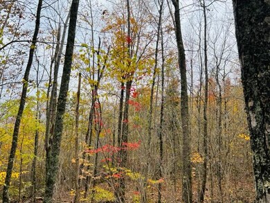 IMG_8141