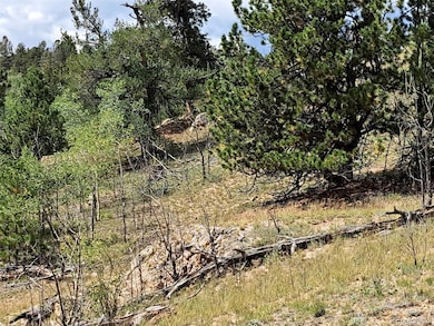 6452 Remington Rd, Como, CO 80456 - photo 6