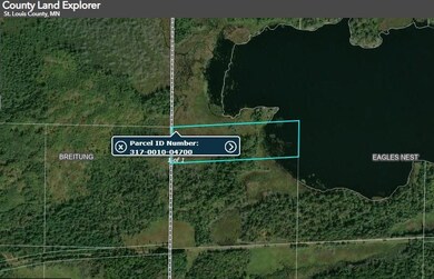 XXXX Murray Forest Rd, Breitung Township, MN 55731 - photo 5