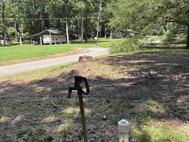View of street with a forest view