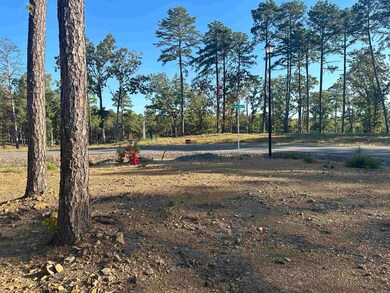 2915 Orchard View Dr, Conway, AR 72034 - photo 3