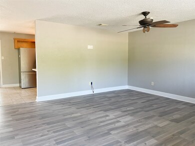 305 Avenue I, Brazoria, TX 77422 - photo 4