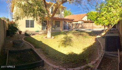 BACKYARD 11-2017