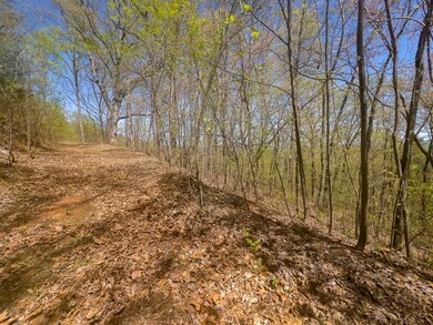 TBD Yellow Locust Dr, Fancy Gap, VA 24328 - photo 4