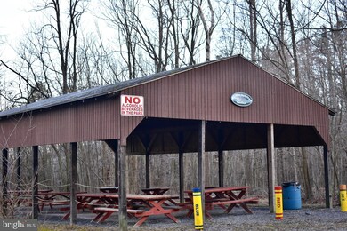 0 12 Elk Trail unit VAFV2018238, Winchester, VA 22602 - photo 4