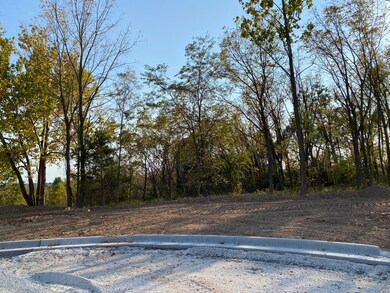 L55 Ph2 Irish Hills Estates, Nixa, MO 65714 - photo 3
