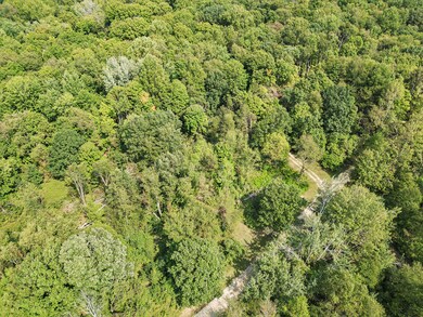 DJI_0634