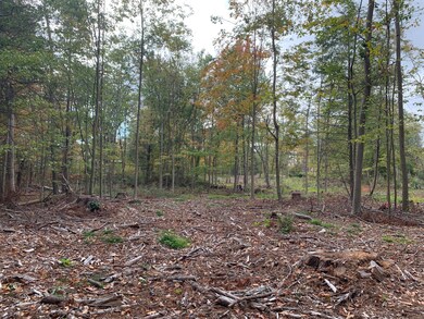 Looking towards Tree Line Rear Border