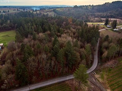 0 SW Niederberger Rd, Dundee, OR 97115 - photo 3