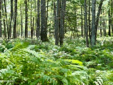 285 Tink Wig Dr, Lackawaxen Township, PA 18428 - photo 5