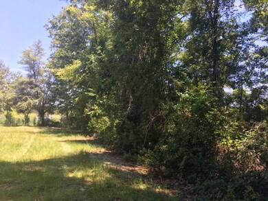 Lots 6/7 E Drive Paradise Cir, Donalsonville, GA 39845 - photo 6