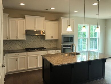 Gourmet Kitchen