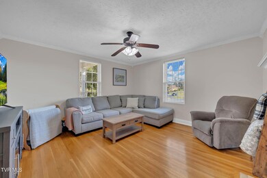 411 W Main Blvd, Church Hill, TN 37642 - photo 5