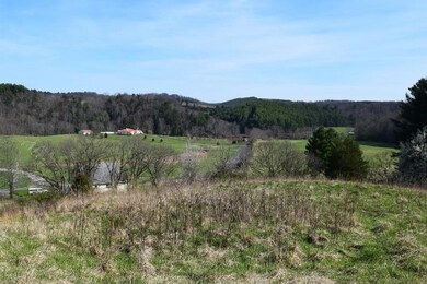 DSC_0055 (800x533)