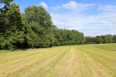 44.25 ac Falling Water Rd, Cookeville, TN 38506 - photo 2