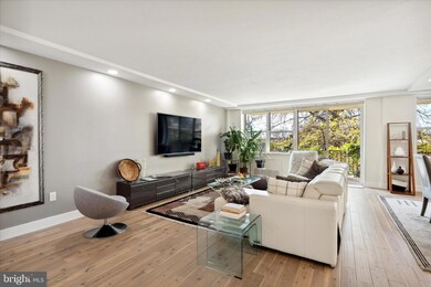 The Trianon unit 208, Bala Cynwyd, PA 19004 - photo 7