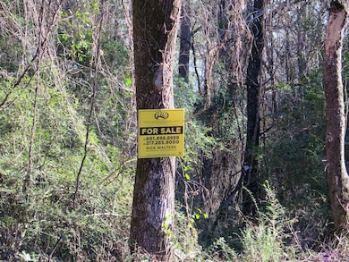 Tbd Burrage Rd unit LotWP001, Enterprise, MS 39330 - photo 5