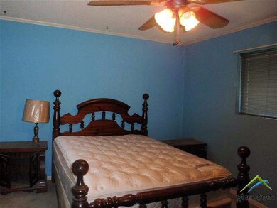 15115 County Road 2205, Tyler, TX 75707 - photo 5