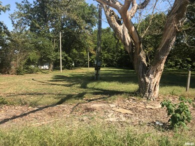 812 N Webster St, Harrisburg, IL 62946 - photo 2