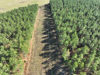 2716 Fryer Rd, Blakely, GA 39823 - photo 6