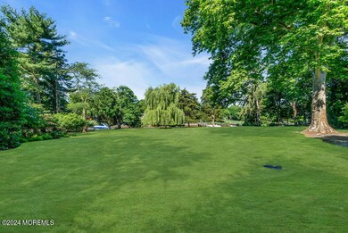 Back lawn 97