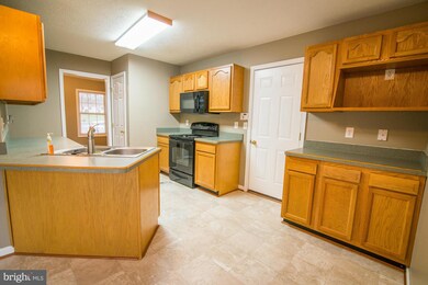 379 Leviticus Dr, Bunker Hill, WV 25413 - photo 6