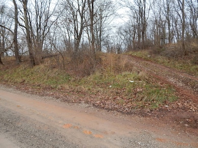 00 Seckman Ridge, St. Marys, WV 26170 - photo 4