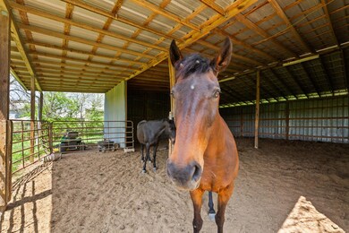 View of stable