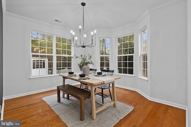 1111 Ruddy Duck Ct, Denton, MD 21629 - photo 7