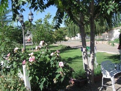 Carousel Image
