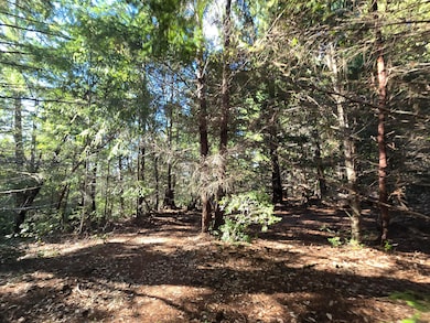 00 Bell Spring Rd, Garberville, CA 95542 - photo 2