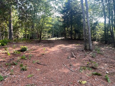 IMG-0062