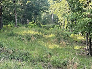 0 Tbd Madison Cr 6021 unit 1319733, Elkins, AR 72727 - photo 4