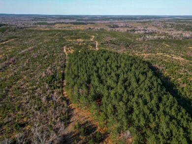 0 Rd, Lumpkin, GA 31815 - photo 7