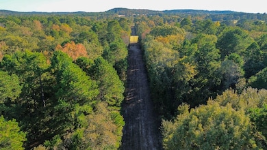 000 Cr 4330, Larue, TX 75770 - photo 3